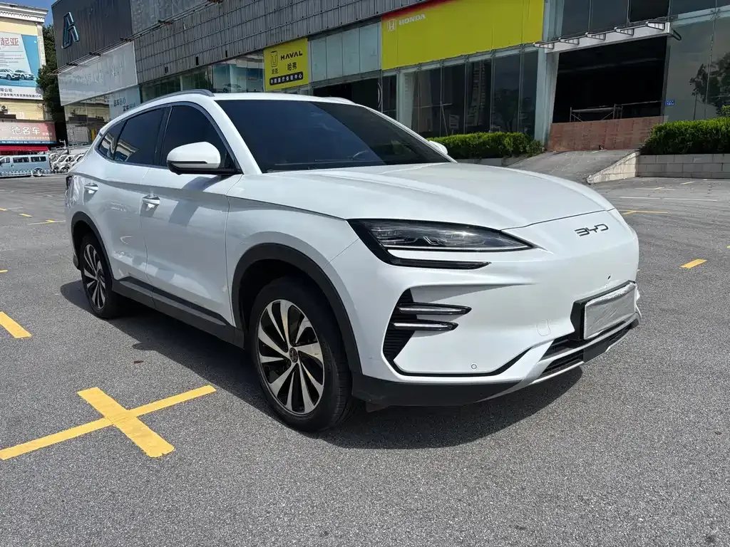 BYD PLUS New Energy — фото 7