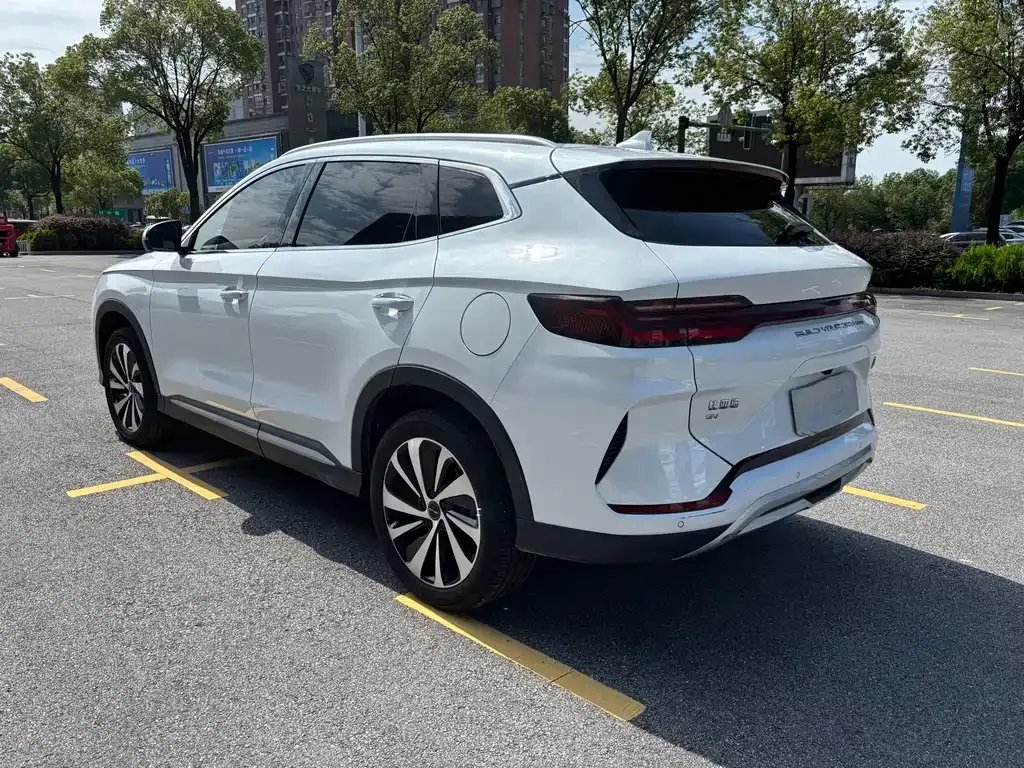 BYD PLUS New Energy — фото 9