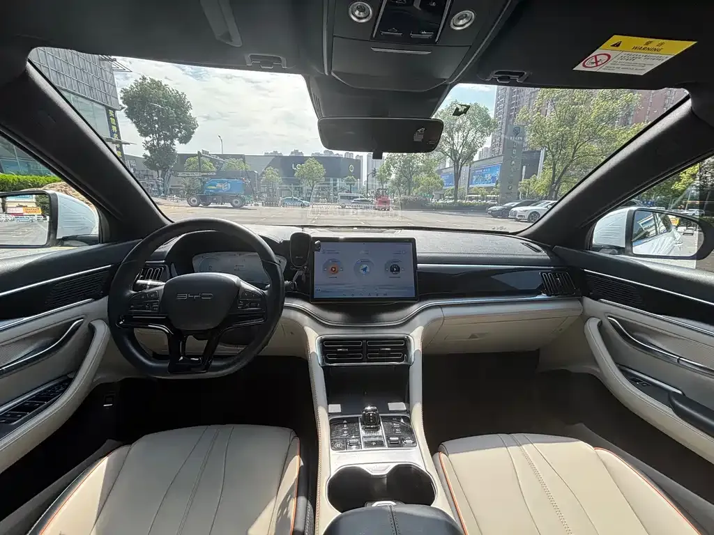 BYD PLUS New Energy — фото 4