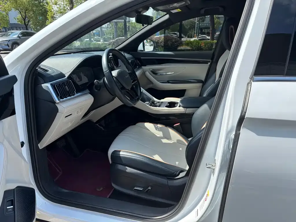 BYD PLUS New Energy — фото 2
