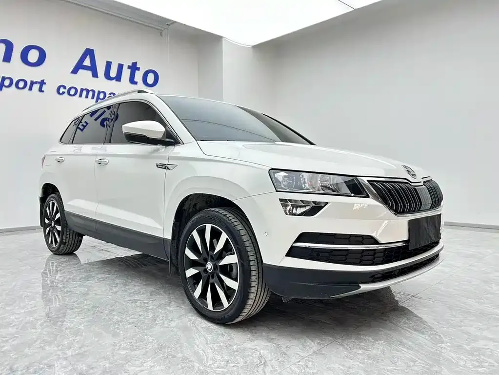 Skoda Karoq — фото 4