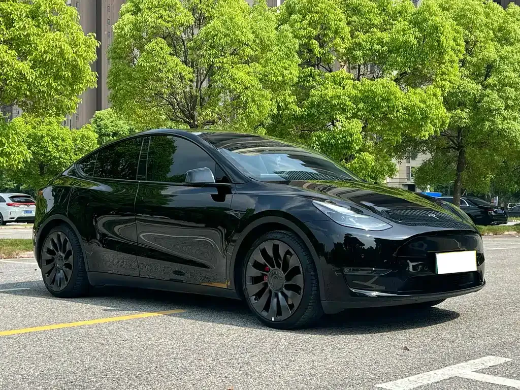 Tesla Model Y — фото 10