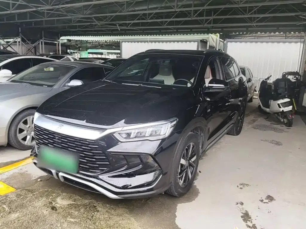 BYD Pro New Energy