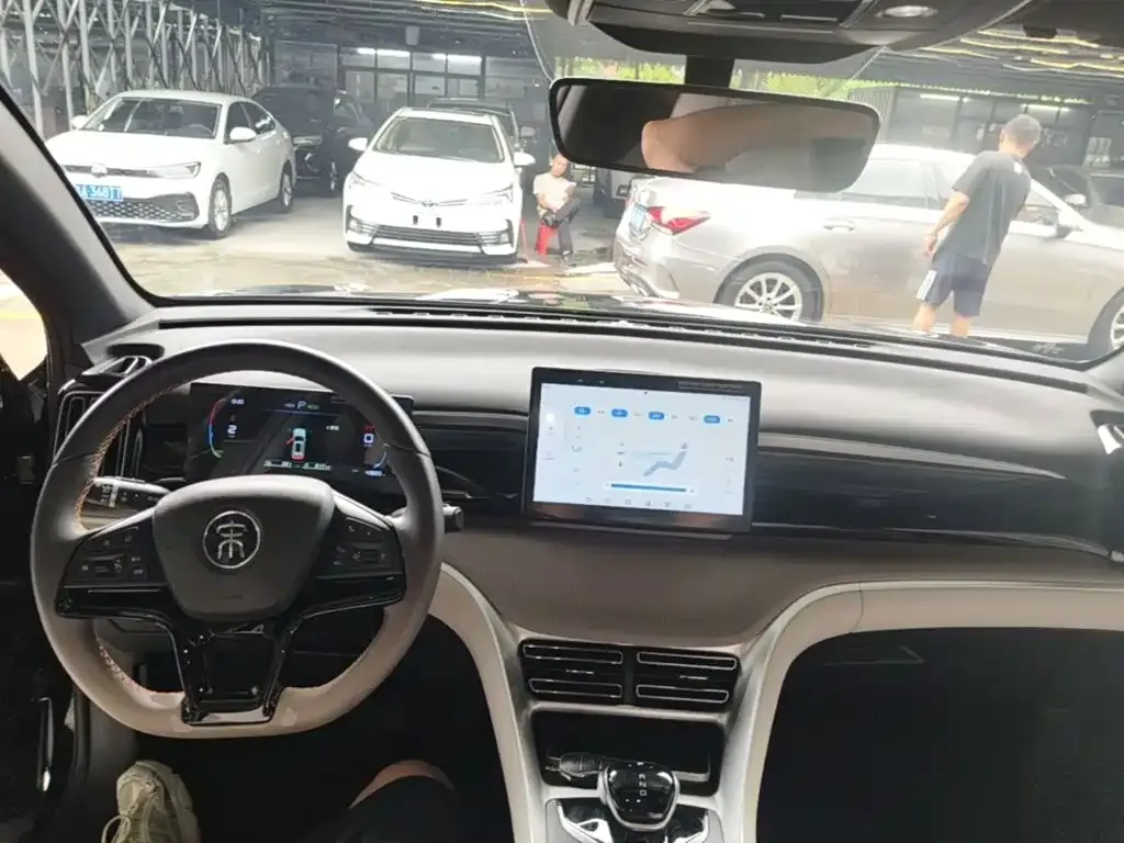 BYD Pro New Energy 2024 из CN, фото 10