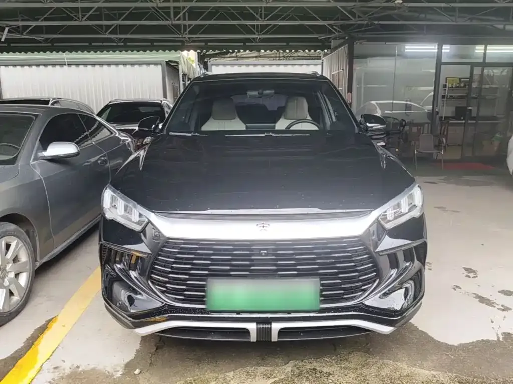 BYD Pro New Energy 2024 из CN, фото 7