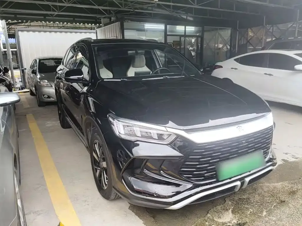 BYD Pro New Energy 2024 из CN, фото 3