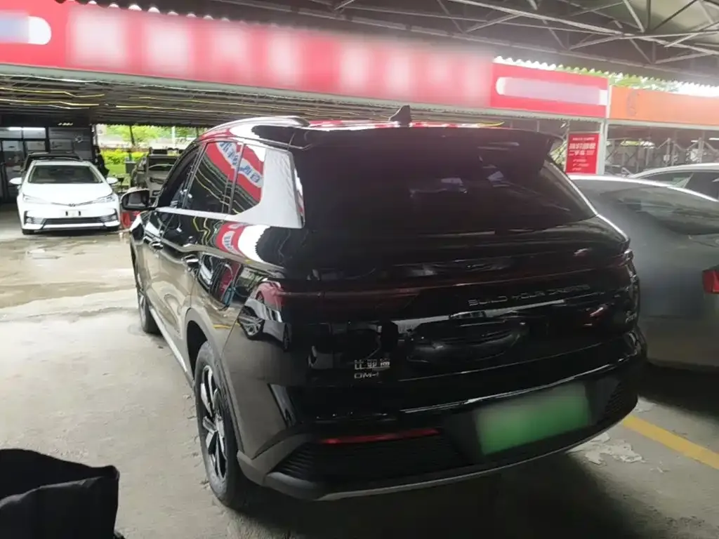 BYD Pro New Energy 2024 из CN, фото 9