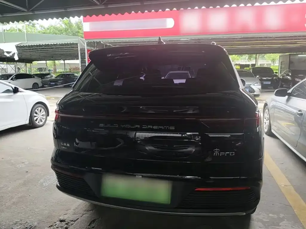BYD Pro New Energy 2024 из CN, фото 8