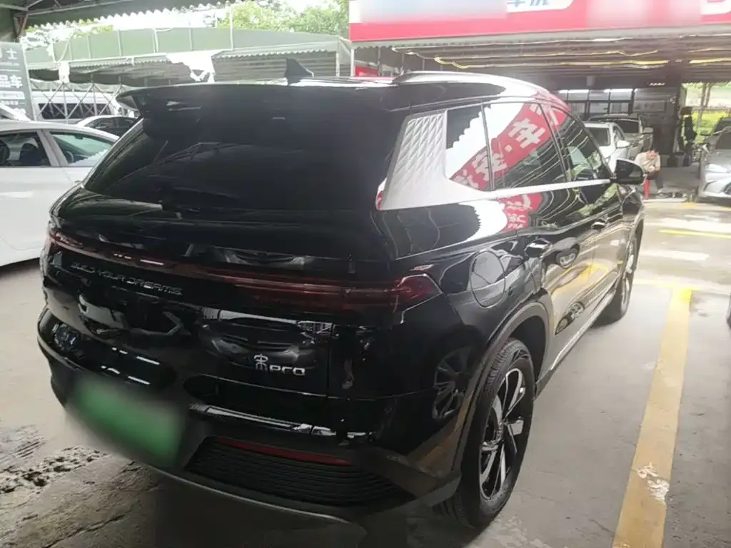 BYD Pro New Energy 2024 из CN, фото 6