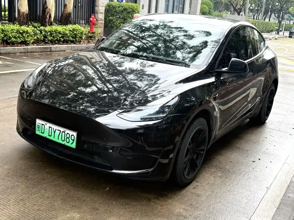 Tesla Model Y — фото 1