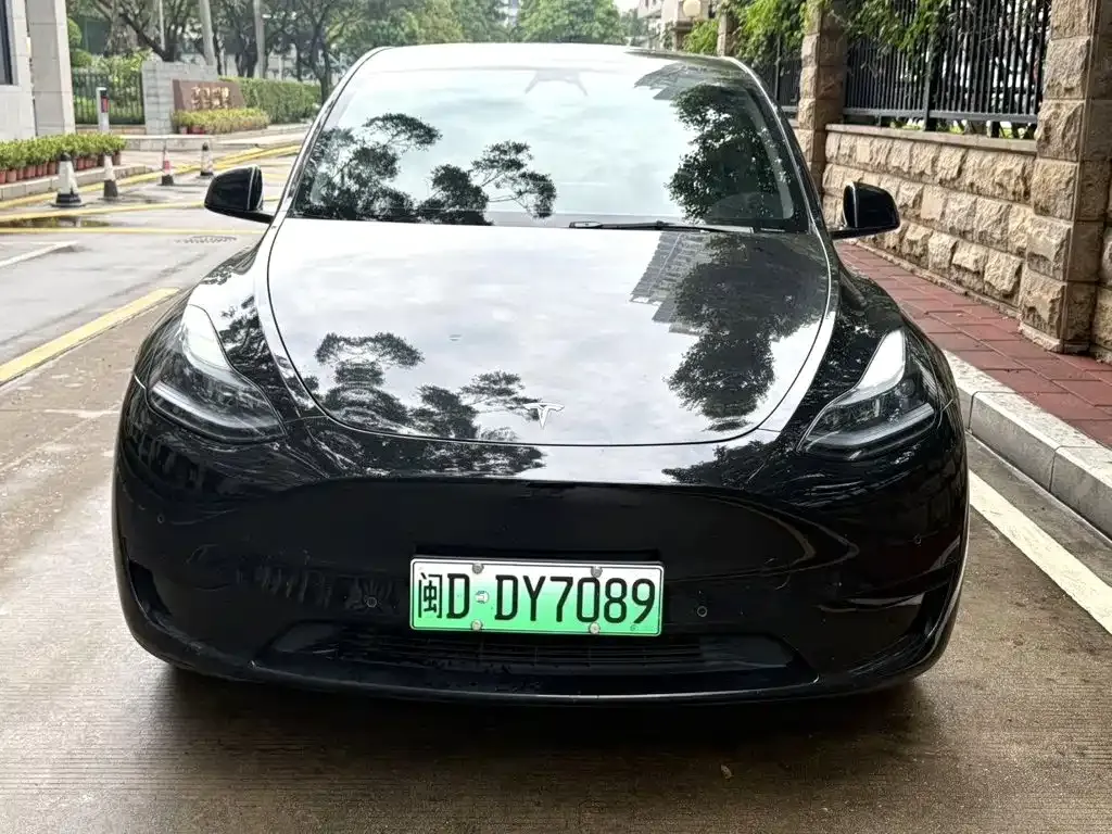 Tesla Model Y — фото 3