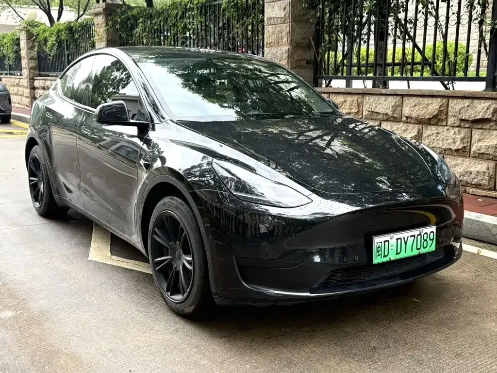 Tesla Model Y — фото 7