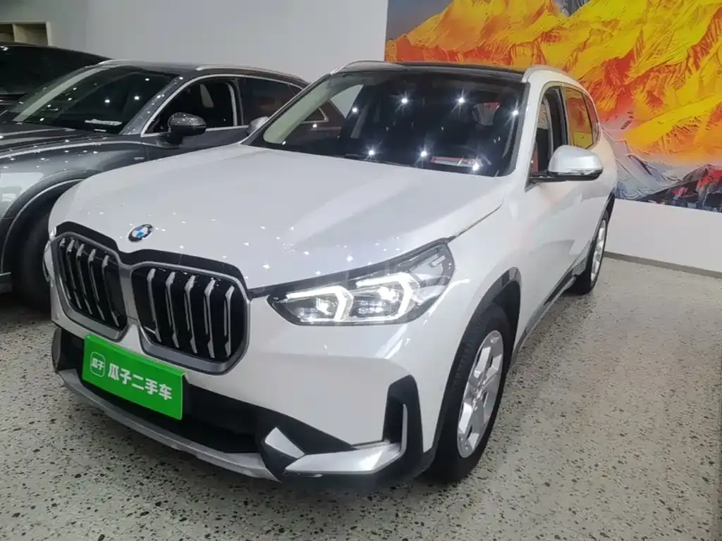 BMW X1 — фото 1