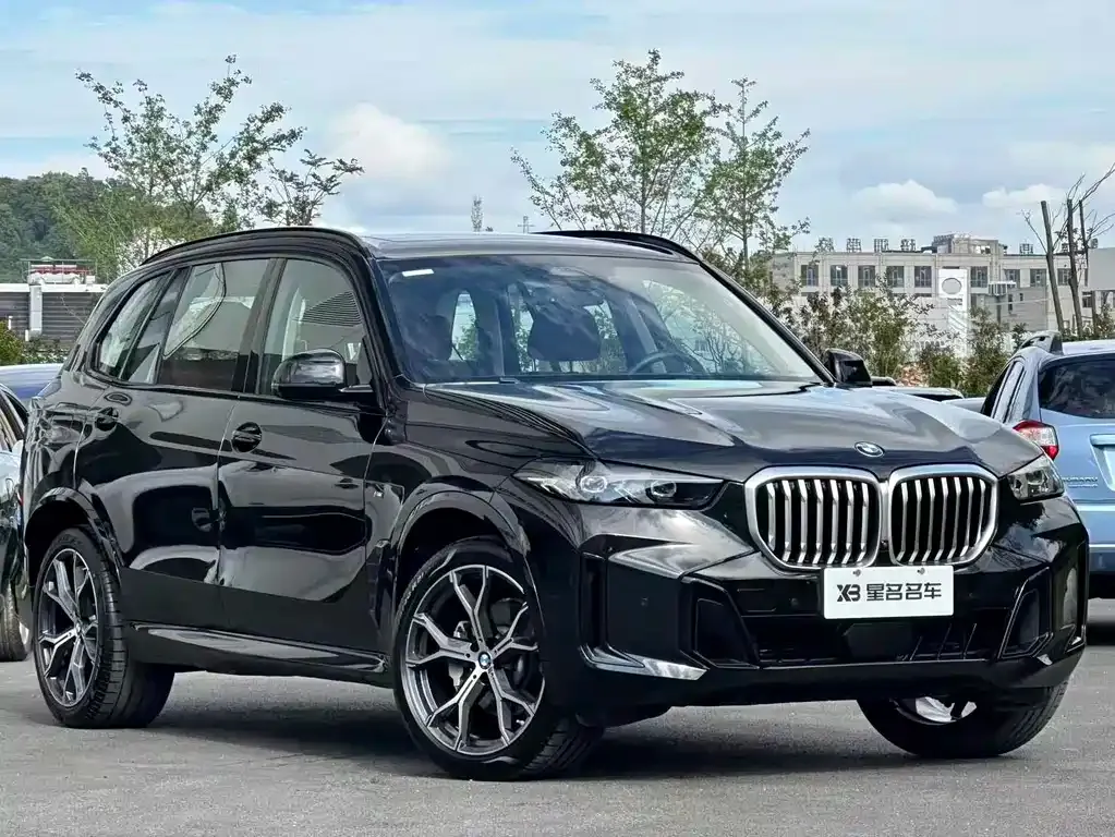 BMW X5 — фото 5