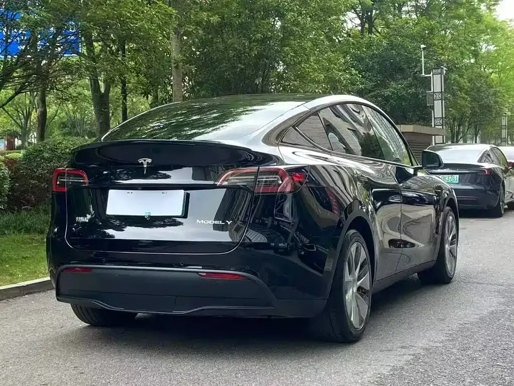 Tesla Model Y — фото 5