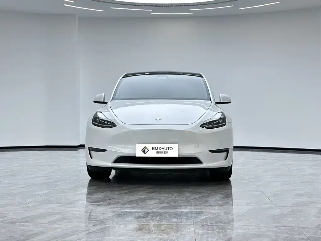 Tesla Model Y — фото 8