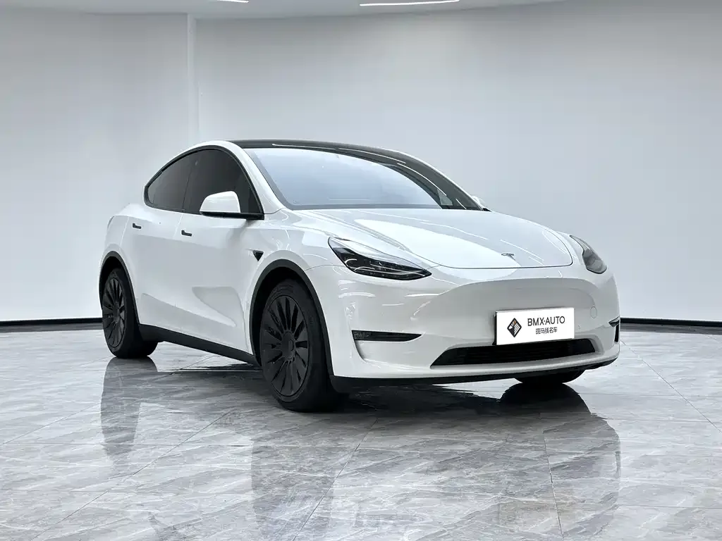 Tesla Model Y — фото 10