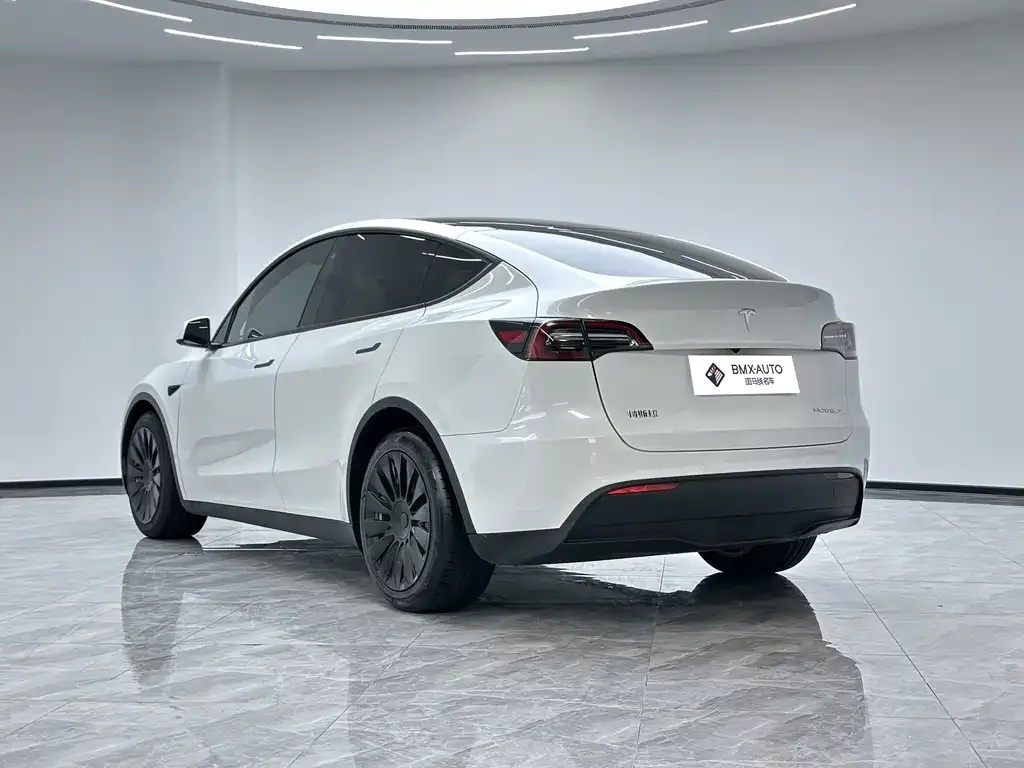 Tesla Model Y — фото 7
