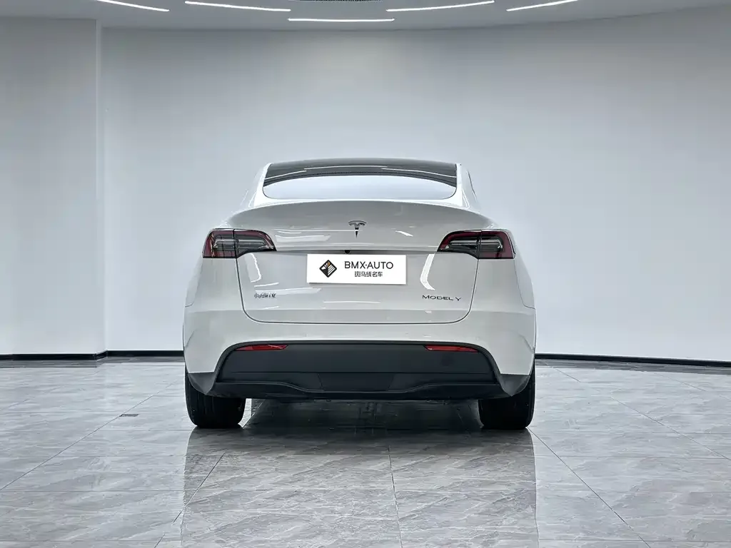 Tesla Model Y — фото 6