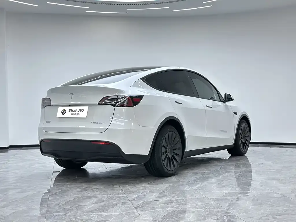 Tesla Model Y — фото 2