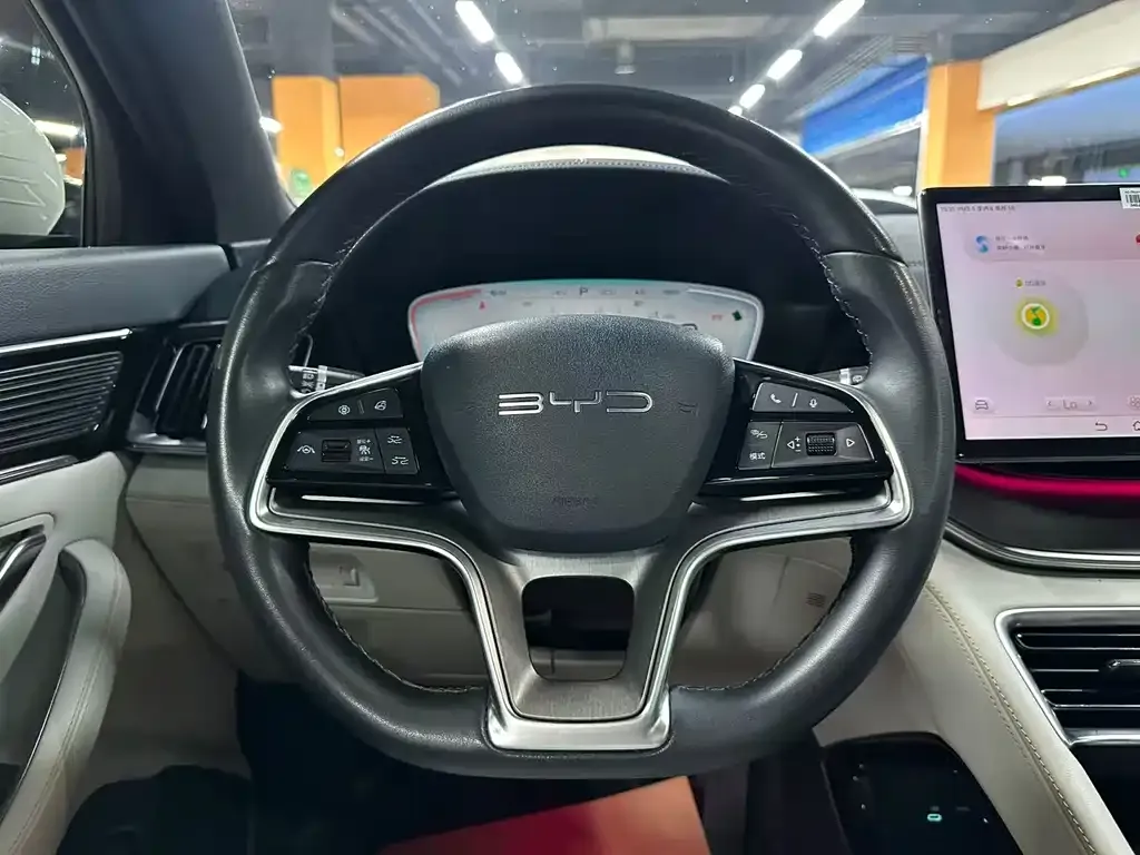 BYD PLUS New Energy — фото 4