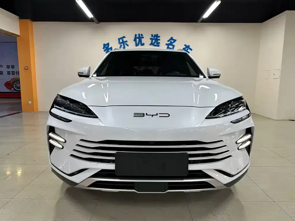 BYD PLUS New Energy — фото 3