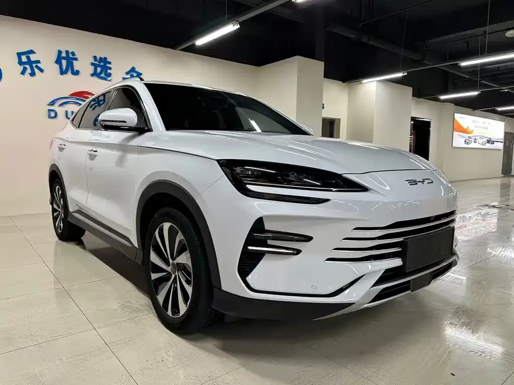 BYD PLUS New Energy — фото 2
