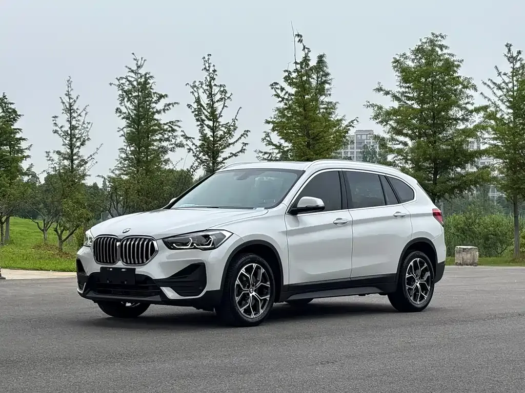 BMW X1 — фото 1