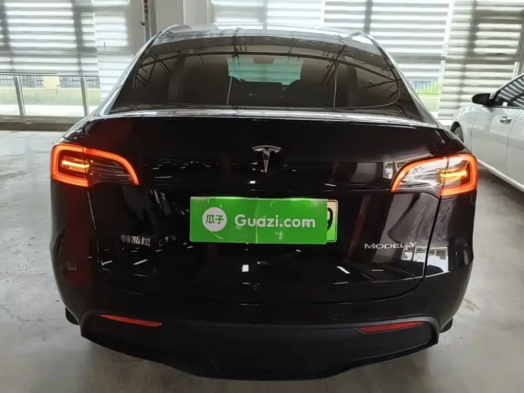 Tesla Model Y — фото 10