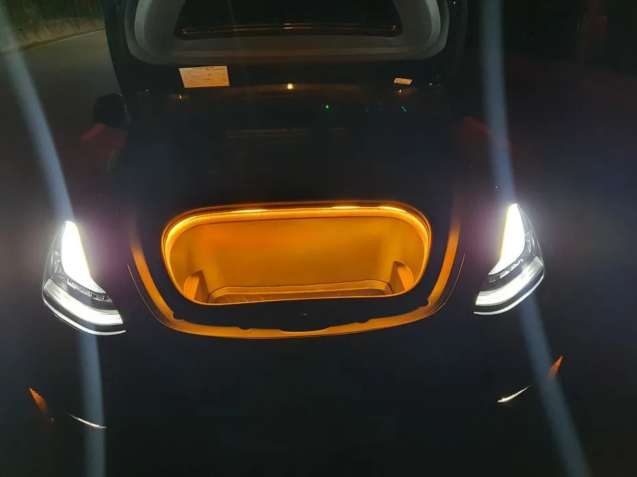 Tesla Model Y — фото 2