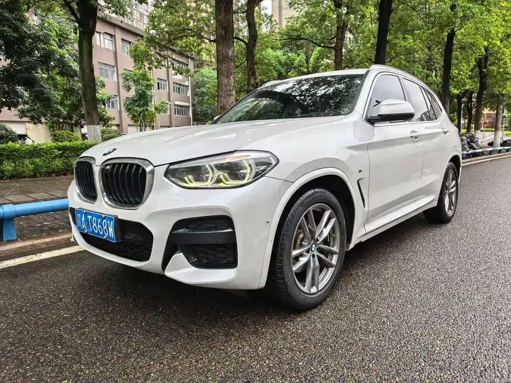 BMW X3 — фото 1