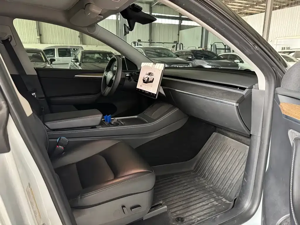 Tesla Model Y — фото 10