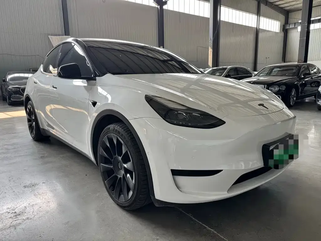 Tesla Model Y — фото 3