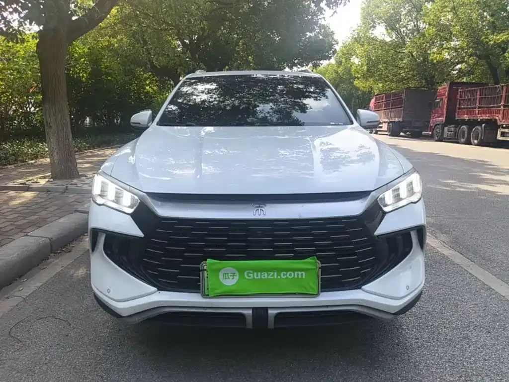 BYD Pro New Energy — фото 2