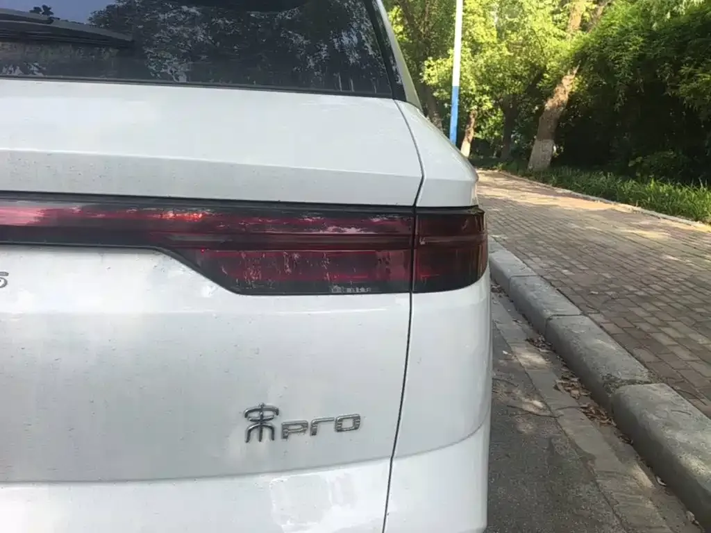 BYD Pro New Energy — фото 5