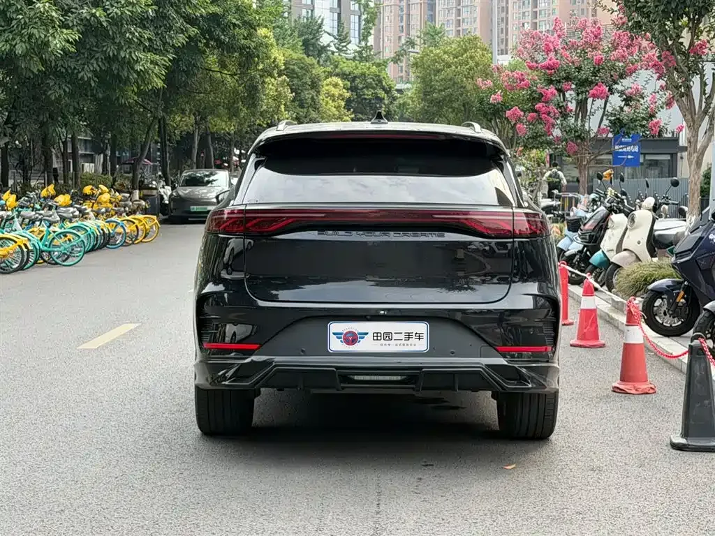 BYD Tang New Energy — фото 10
