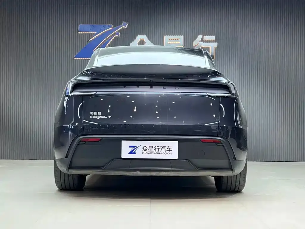 Tesla Model Y — фото 2