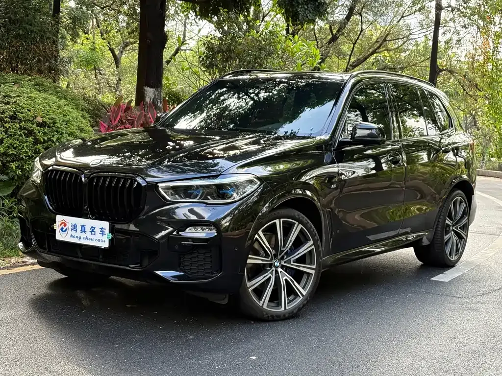 BMW X5 (Import) — фото 1