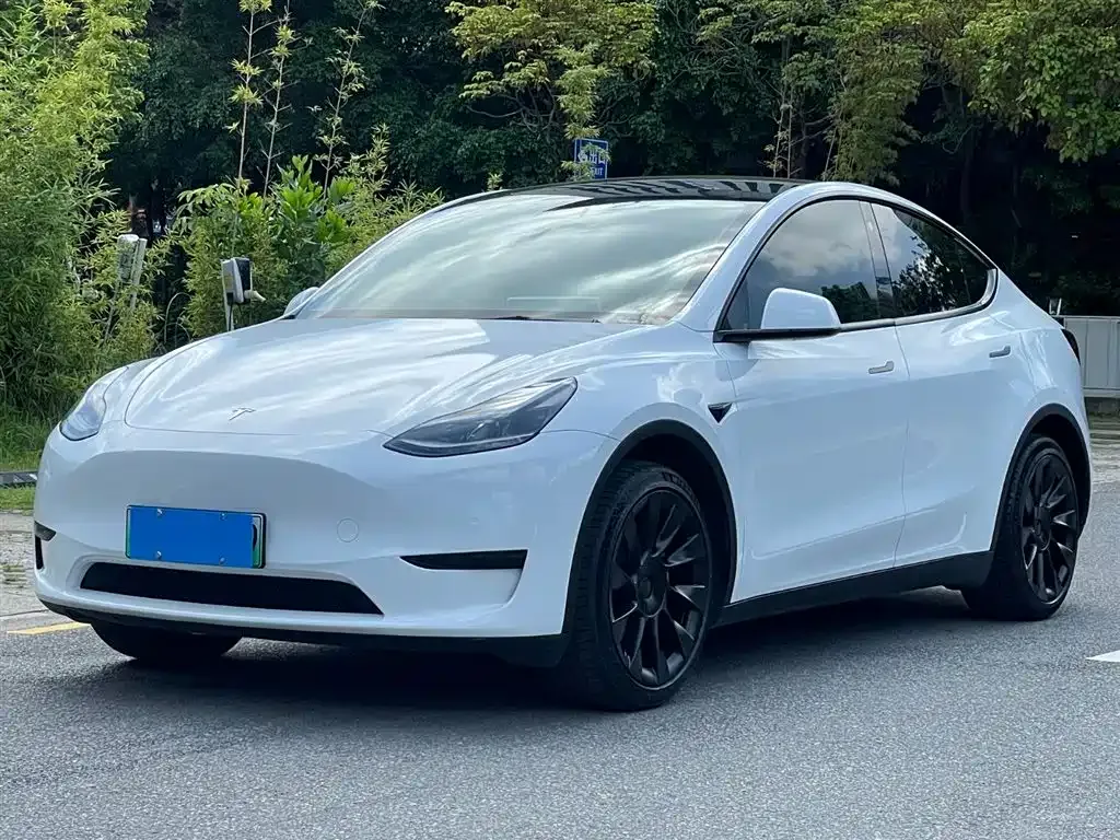 Tesla Model Y — фото 1
