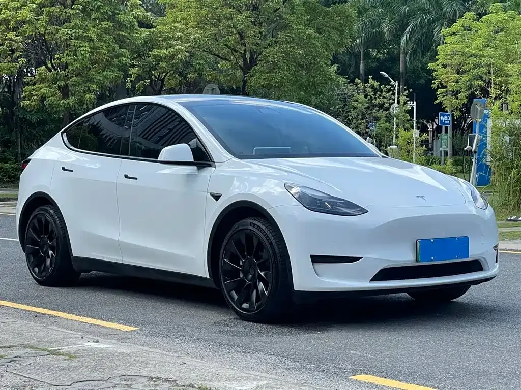 Tesla Model Y — фото 5
