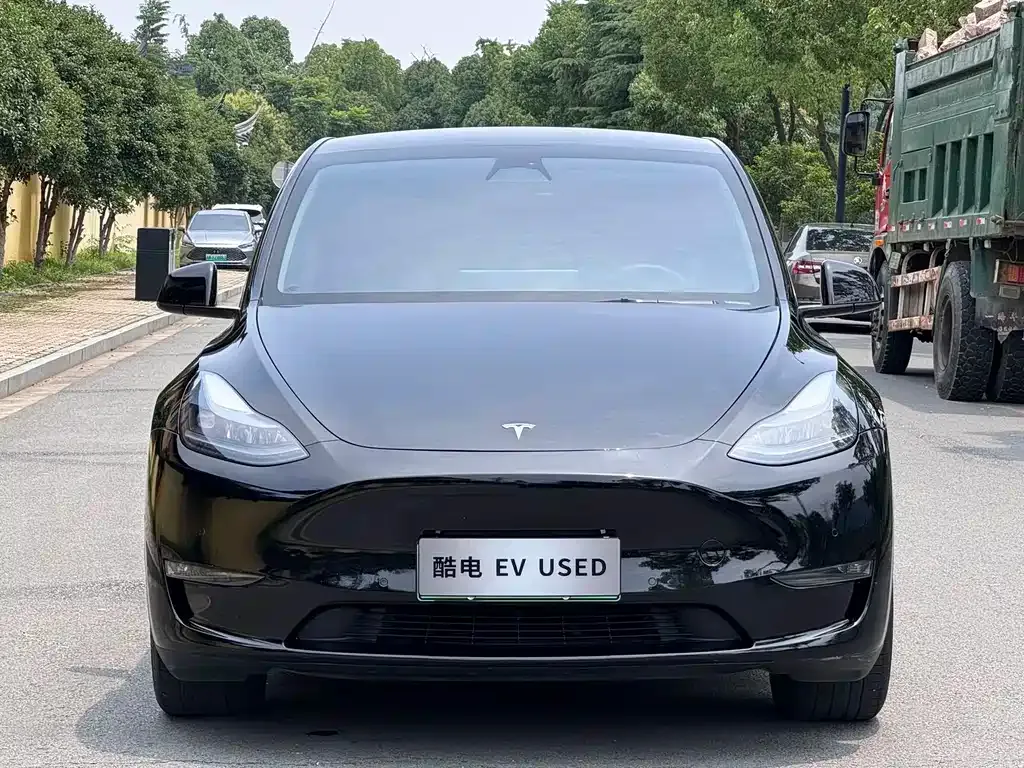 Tesla Model Y — фото 1