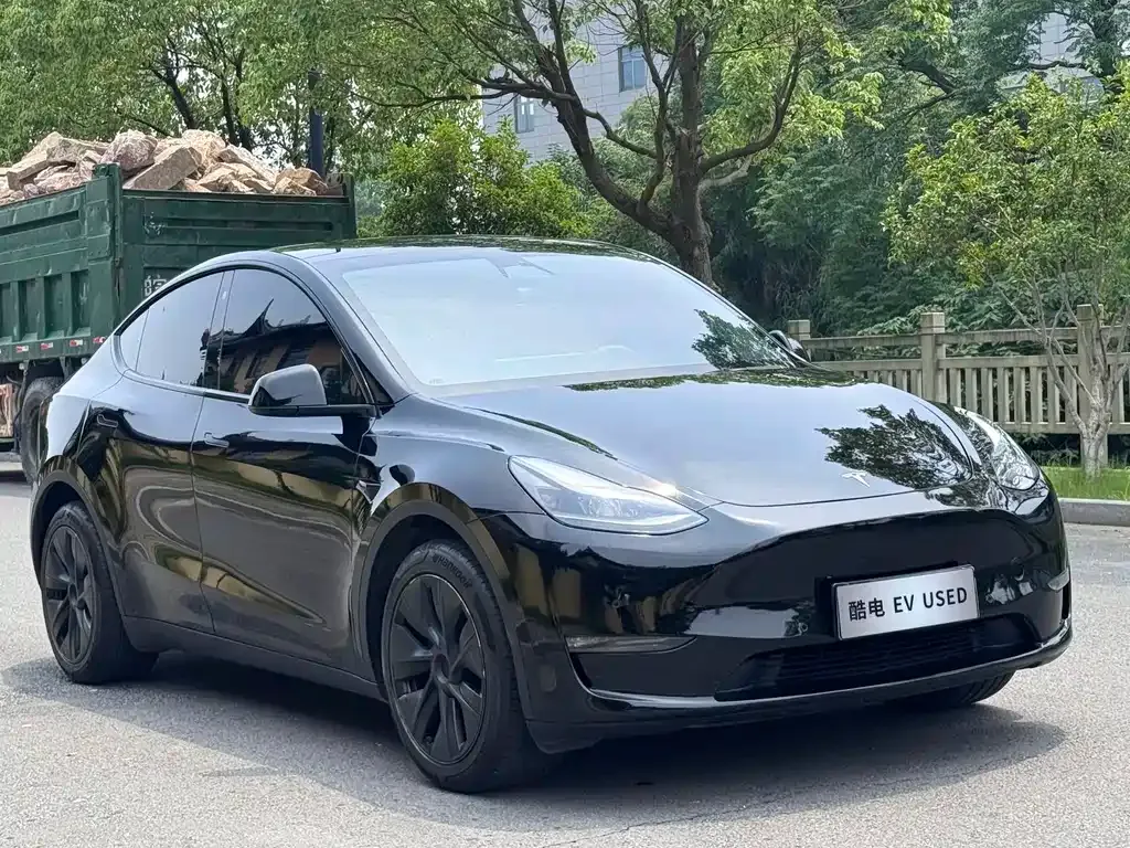 Tesla Model Y — фото 9