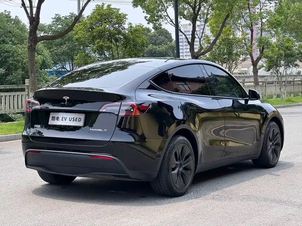 Tesla Model Y — фото 2