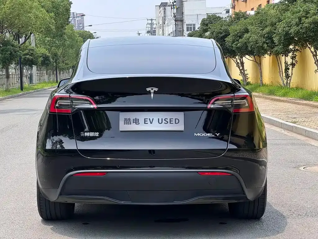 Tesla Model Y — фото 10