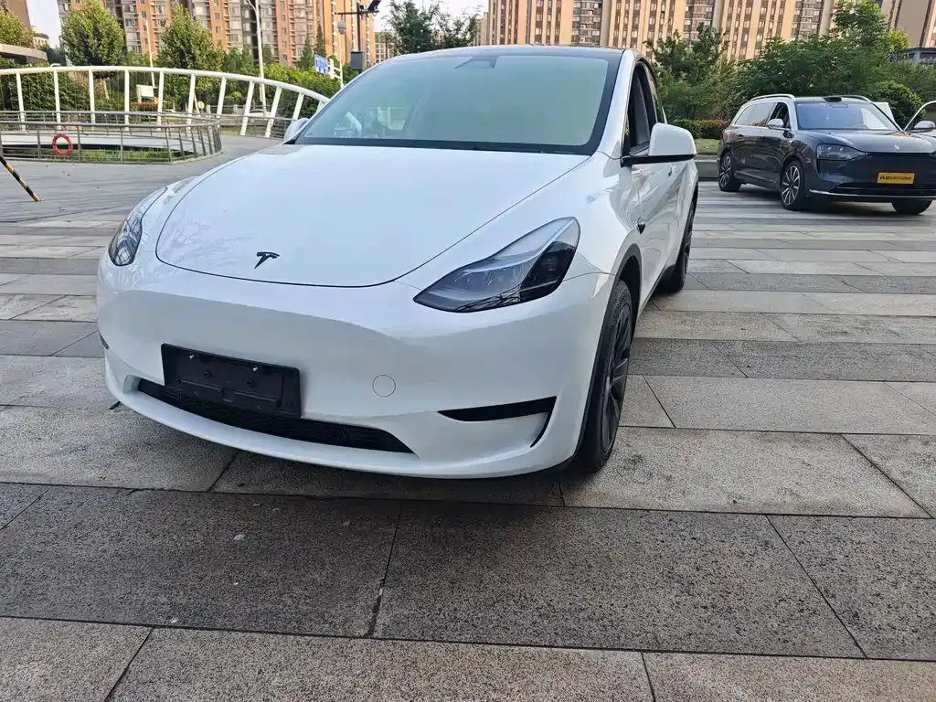 Tesla Model Y — фото 1
