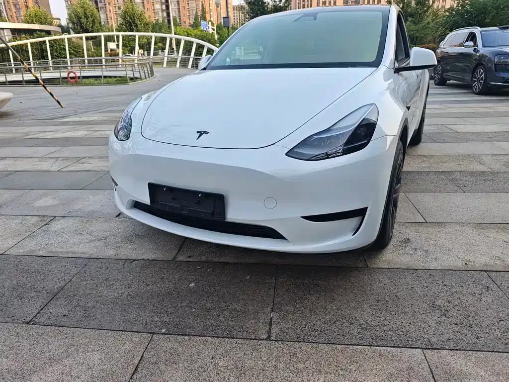 Tesla Model Y — фото 8