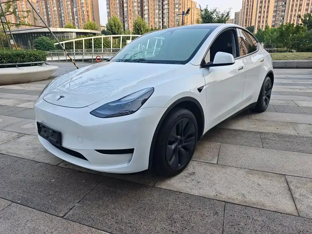 Tesla Model Y — фото 9