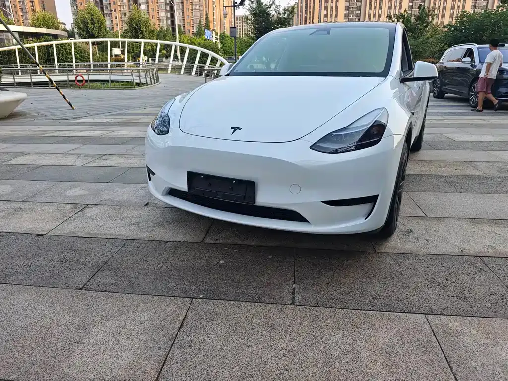 Tesla Model Y — фото 7
