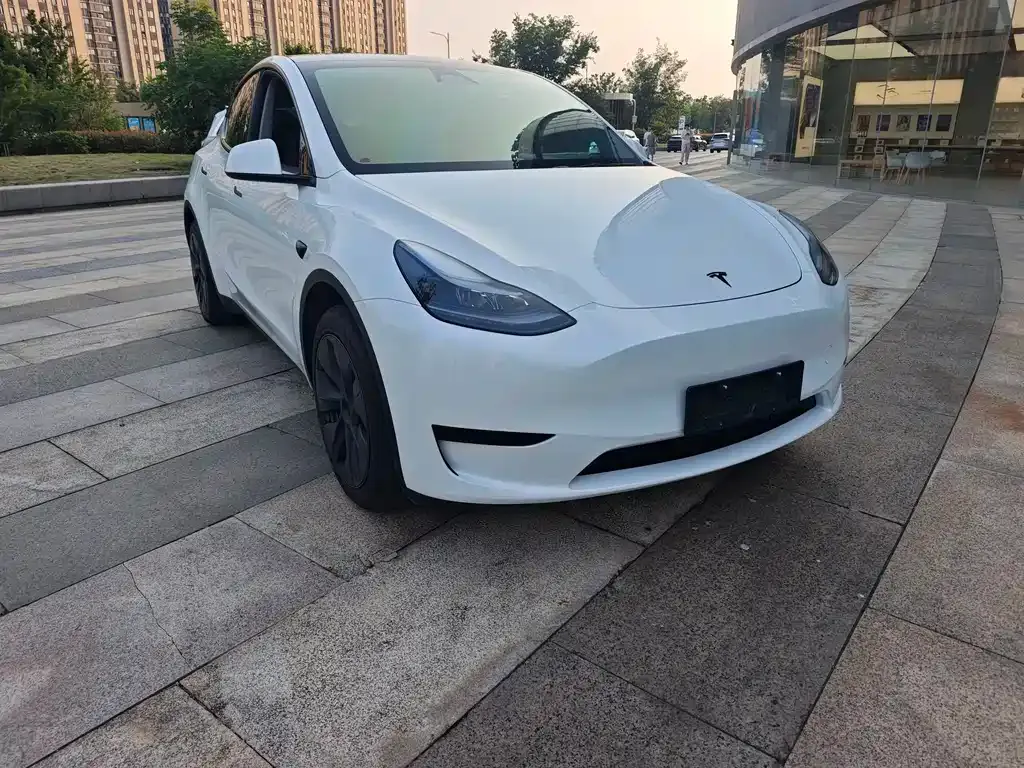 Tesla Model Y — фото 10