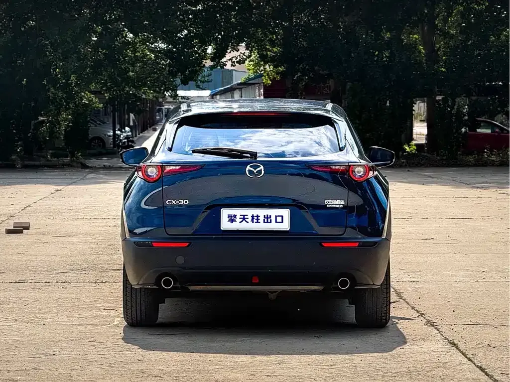 Mazda CX-30 2022 из CN, фото 9
